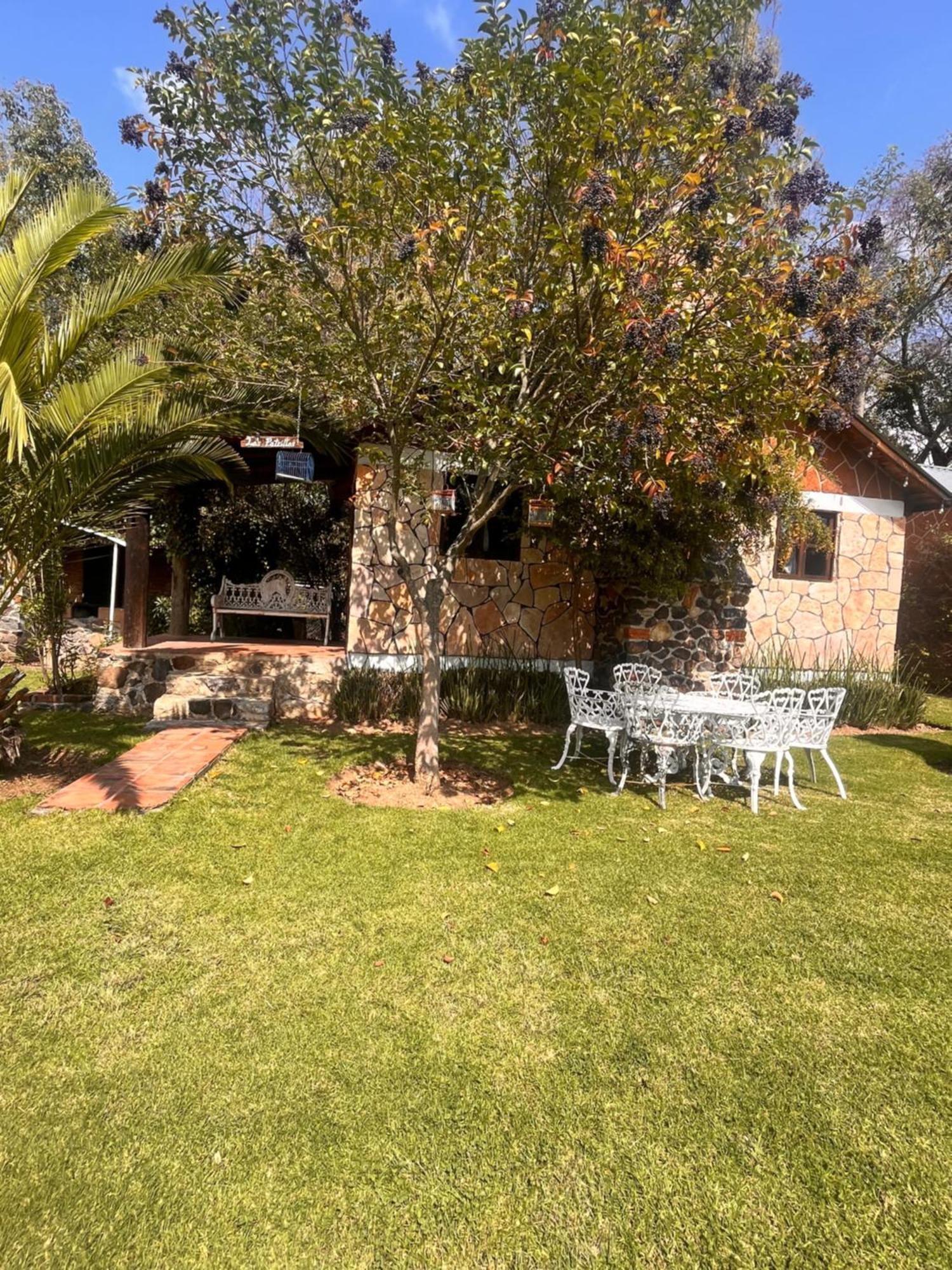 Cabanas Cumbres De Aguacatitla Huasca de Ocampo Exterior photo