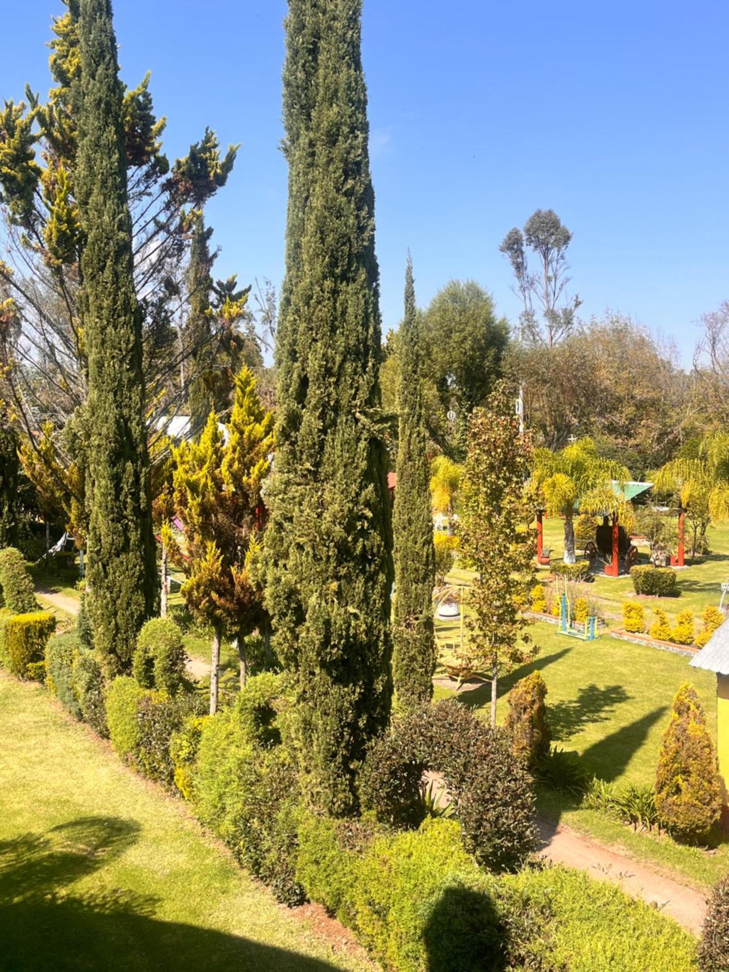 Cabanas Cumbres De Aguacatitla Huasca de Ocampo Exterior photo