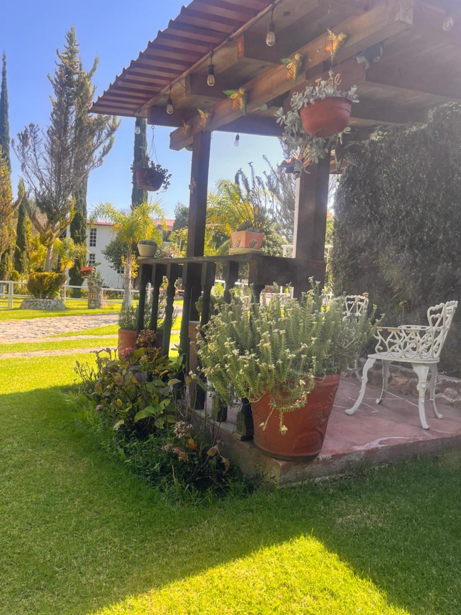 Cabanas Cumbres De Aguacatitla Huasca de Ocampo Exterior photo