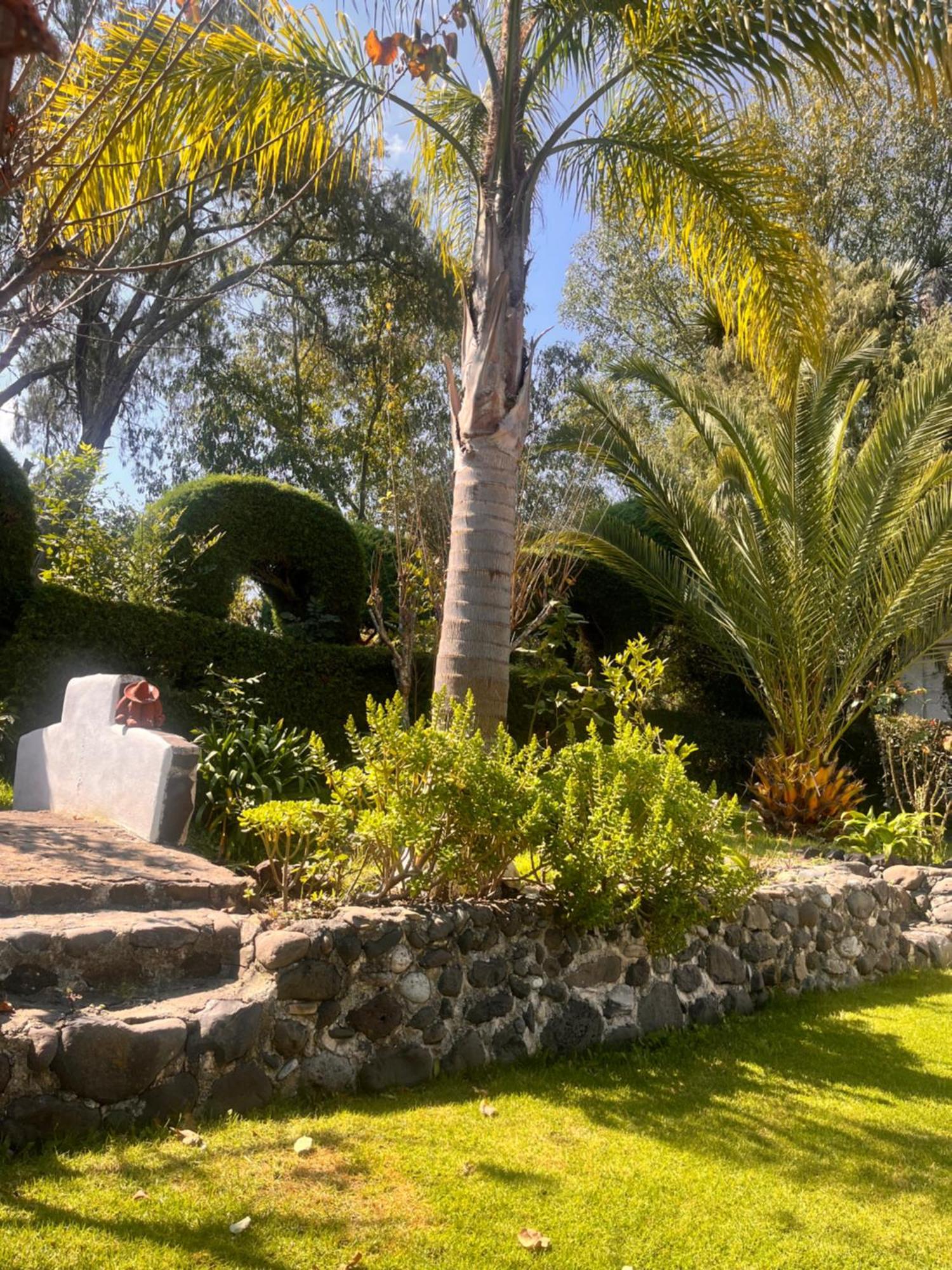 Cabanas Cumbres De Aguacatitla Huasca de Ocampo Exterior photo