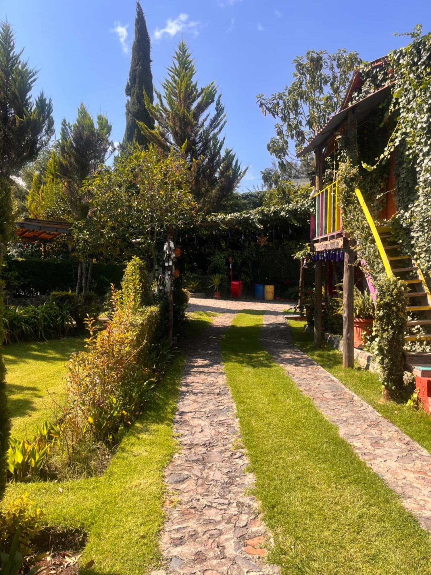 Cabanas Cumbres De Aguacatitla Huasca de Ocampo Exterior photo