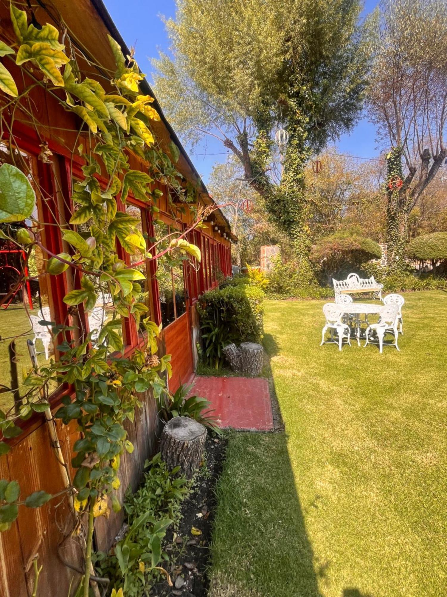 Cabanas Cumbres De Aguacatitla Huasca de Ocampo Exterior photo