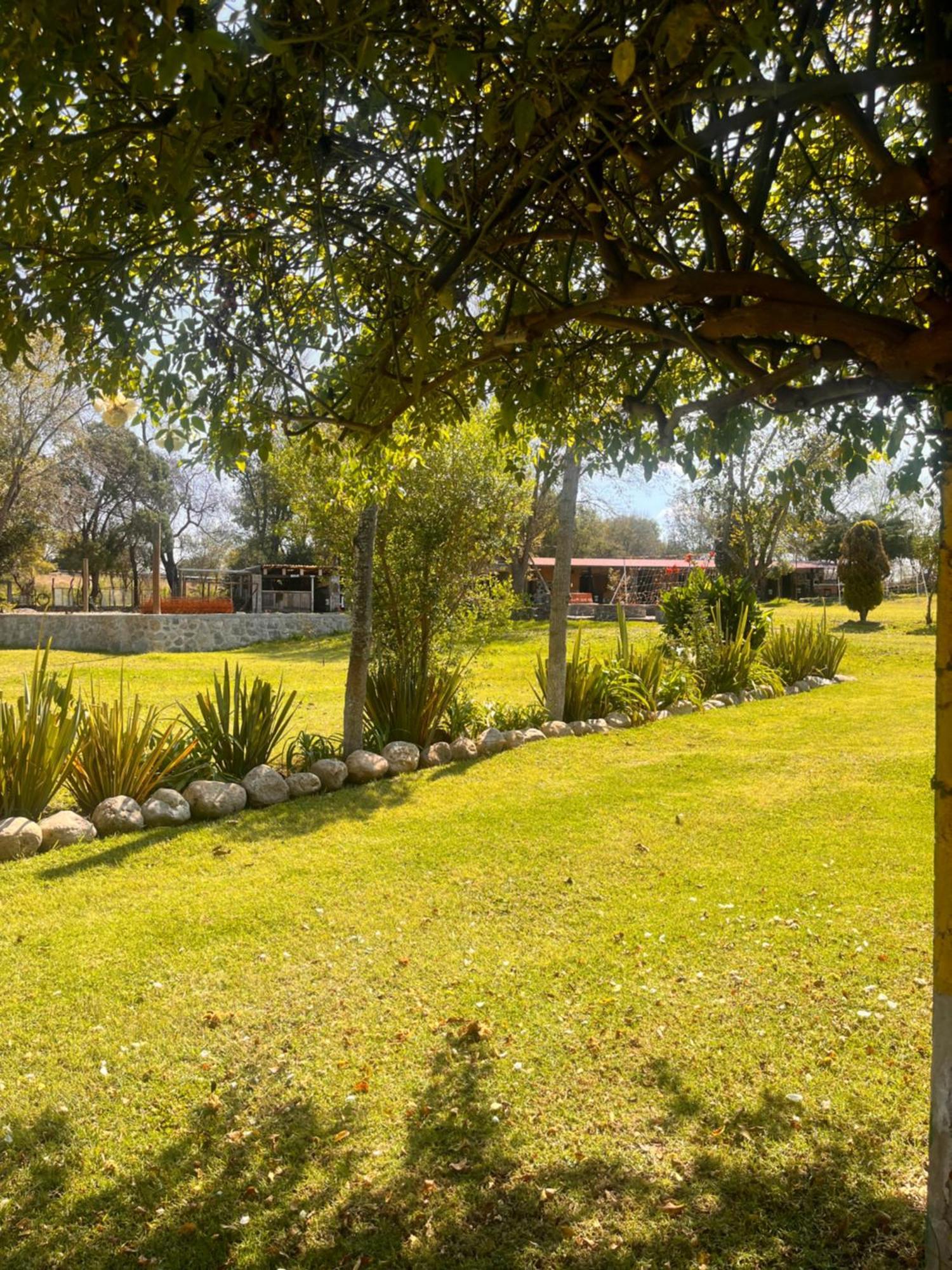 Cabanas Cumbres De Aguacatitla Huasca de Ocampo Exterior photo