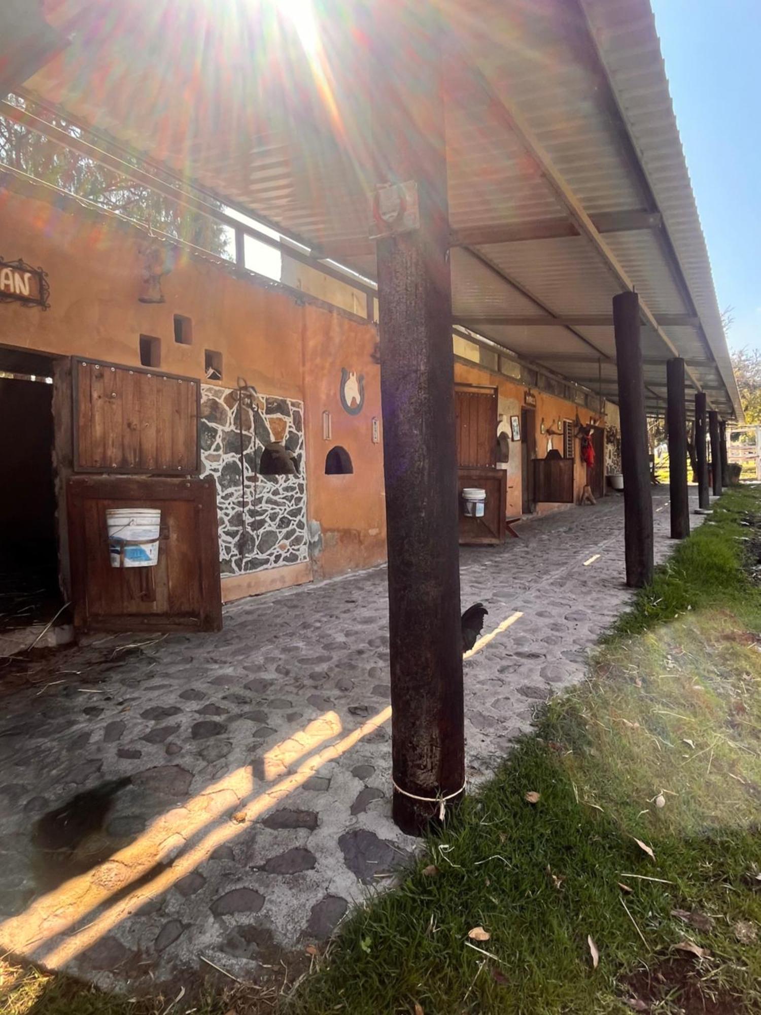 Cabanas Cumbres De Aguacatitla Huasca de Ocampo Exterior photo